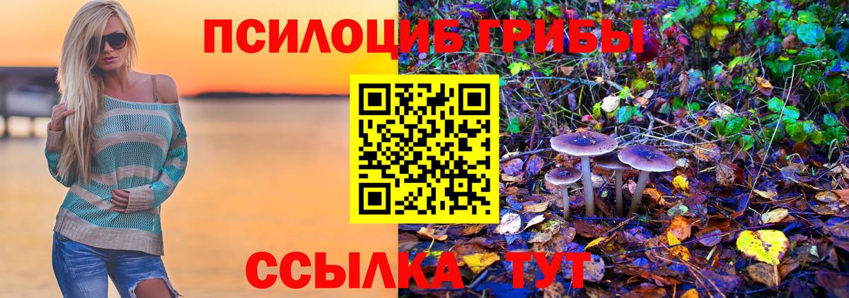 Электрогорск  Галлюциногенные грибы Psilocybe  Вход с VPN 