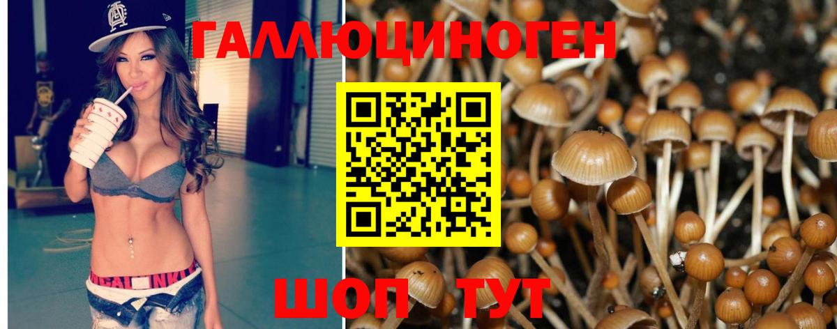 Псилоцибиновые грибы мицелий Электрогорск
