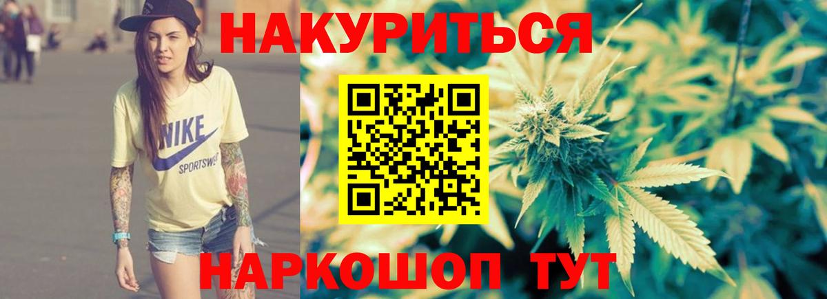 Бошки Шишки планчик  МАРИХУАНА сатива  Электрогорск  Вход с VPN 